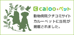 犬・猫・エキゾチックアニマル 高度眼科診療